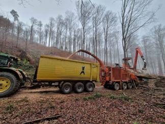 Für möglichst kurze Transportwege wird direkt im Wald gehackt...