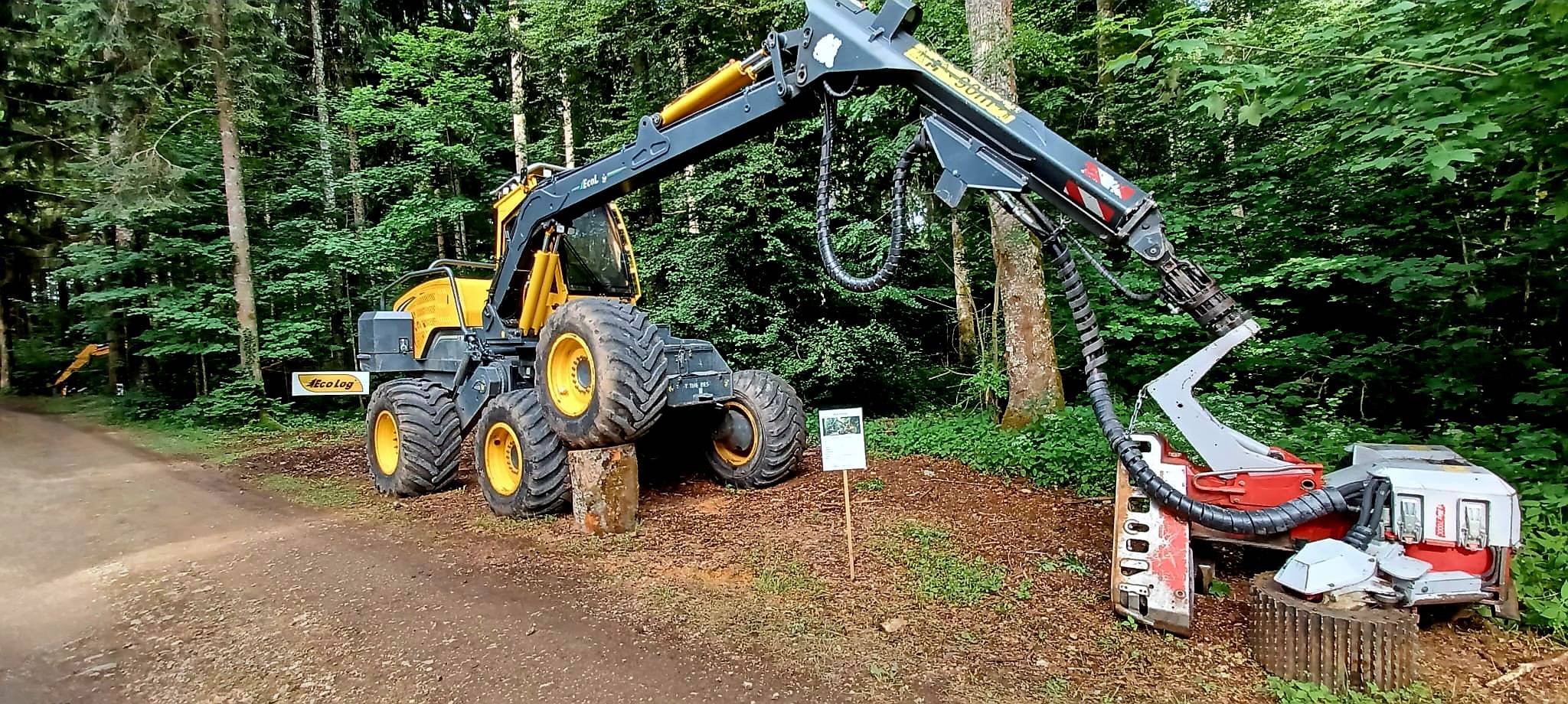 Eco Log 590F Harvester